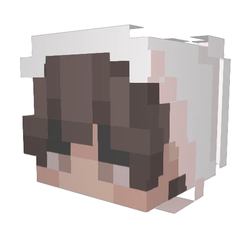 danirh04 Minecraft avatar head, 3D render