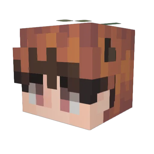 Minecraft-Avatar von danis07_: Kopf als 3D-Render