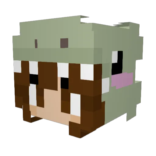 danisaur17 Minecraft avatar head, 3D render