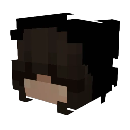danitrejo30 Minecraft avatar head, 3D render