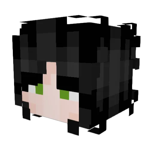 danix_exe Minecraft avatar head, 3D render