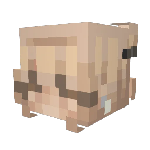 danizani Minecraft avatar head, 3D render