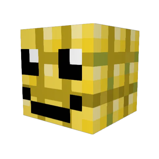 dankTHEtank420 Minecraft avatar head, 3D render