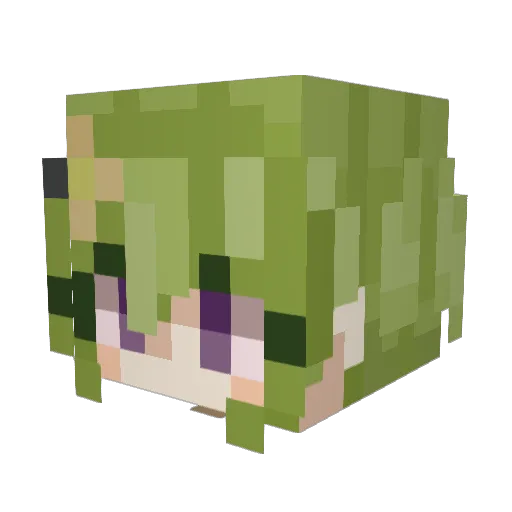 dankan30 Minecraft avatar head, 3D render