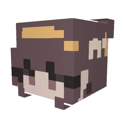 dankbeetle Minecraft avatar head, 3D render