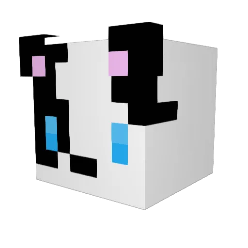 dankdonovan Minecraft avatar head, 3D render