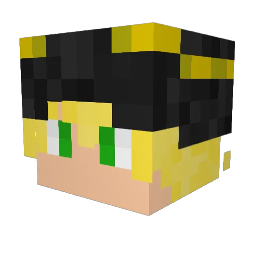 dankmemes223 Minecraft avatar head, 3D render