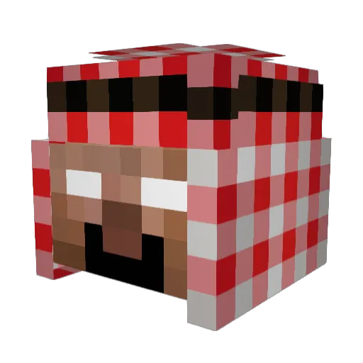 dankraindrops Minecraft avatar head, 3D render