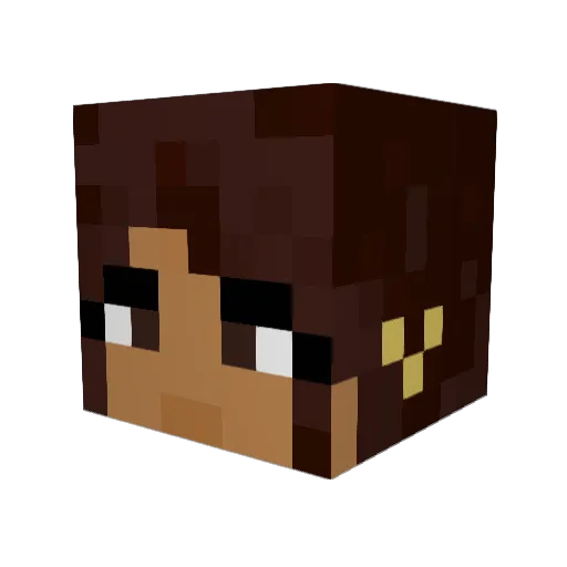 dannaaaaaaa Minecraft avatar head, 3D render