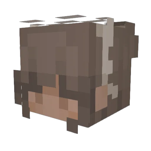 dannasanchez Minecraft avatar head, 3D render