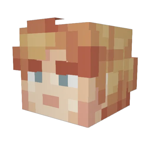 danny2723 Minecraft avatar head, 3D render
