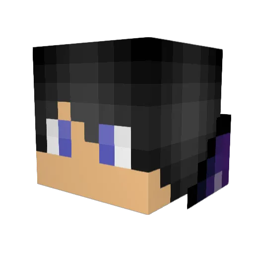 dannybeans07 Minecraft avatar head, 3D render