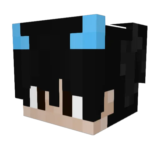 dannyxdtrue Minecraft avatar head, 3D render