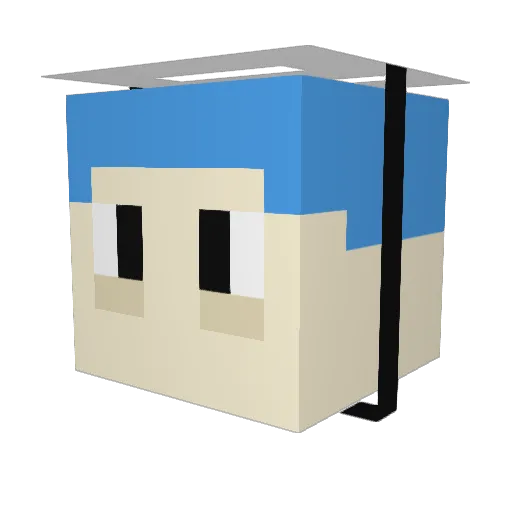 dannyxgesko Minecraft avatar head, 3D render