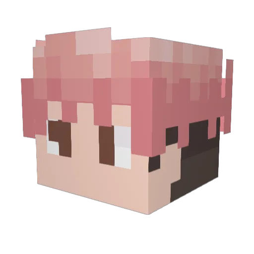 danonee Minecraft avatar head, 3D render