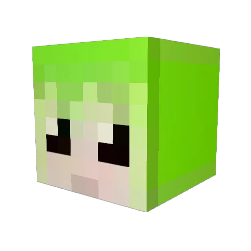danosi3376 Minecraft avatar head, 3D render