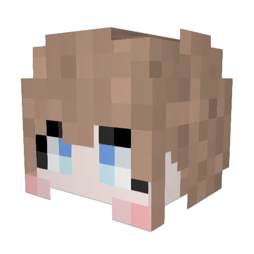 danrora Minecraft avatar head, 3D render