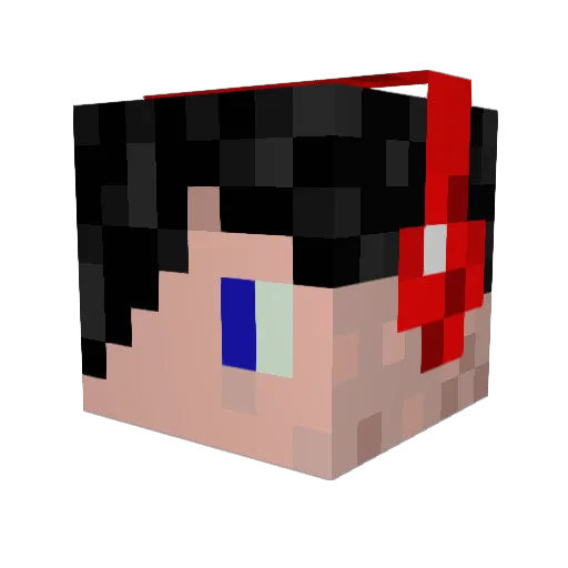 dans10v Minecraft avatar head, 3D render