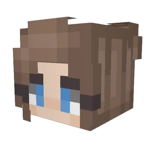 dans246 Minecraft avatar head, 3D render