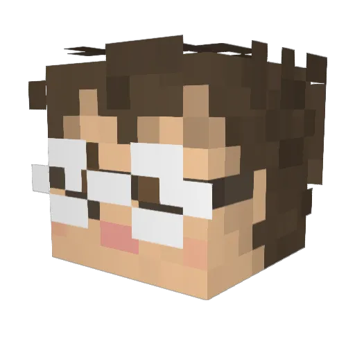 dansego Minecraft avatar head, 3D render