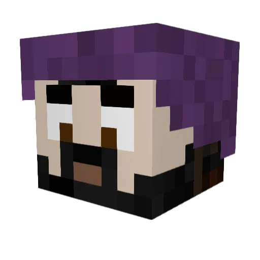 dansh_net Minecraft avatar head, 3D render