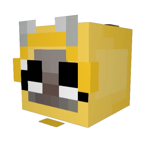 dansku12 Minecraft avatar head, 3D render