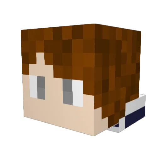 dansonage19 Minecraft avatar head, 3D render
