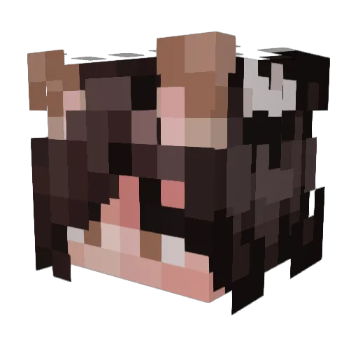dantheman1220 Minecraft avatar head, 3D render