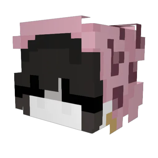 danthzzz Minecraft avatar head, 3D render