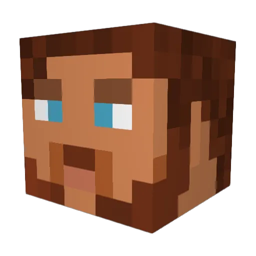 dantjay Minecraft avatar head, 3D render