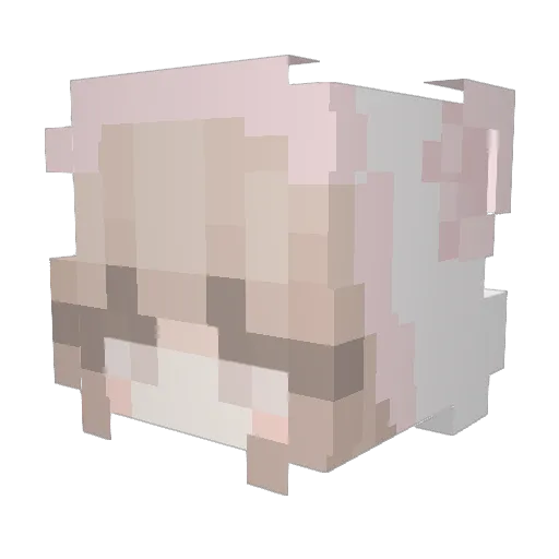 dantzs_ Minecraft avatar head, 3D render