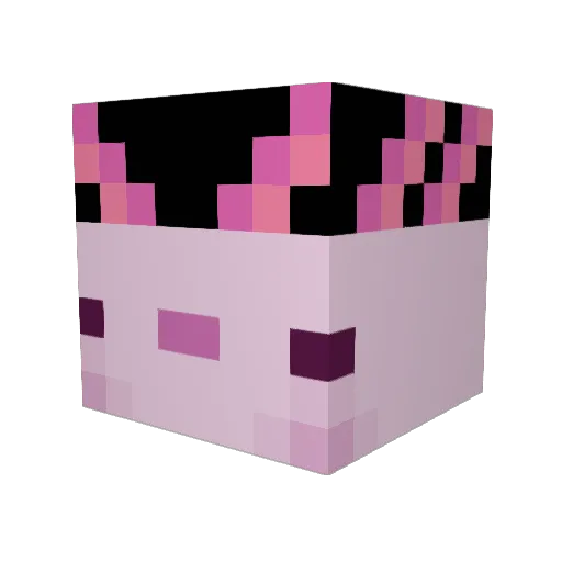 dany798 Minecraft avatar head, 3D render