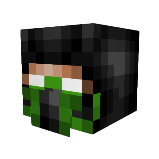 dany_zwart Minecraft avatar head, 3D render