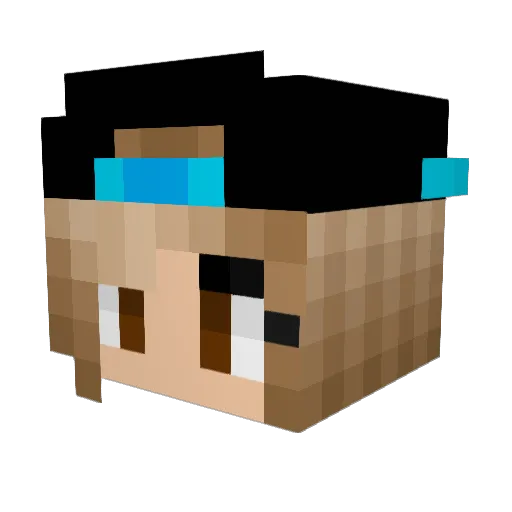 danyd2020 Minecraft avatar head, 3D render