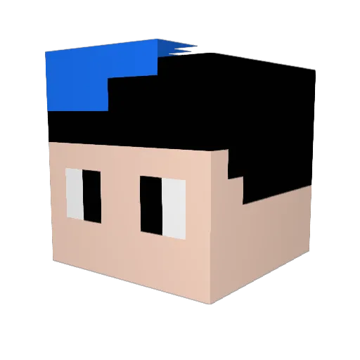 danyelplay11 Minecraft avatar head, 3D render