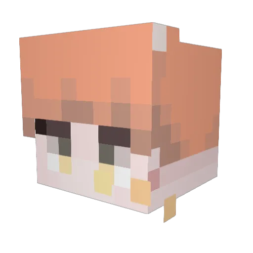 danyoul0801 Minecraft avatar head, 3D render