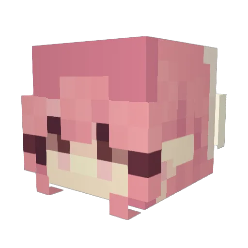 daobaozi Minecraft avatar head, 3D render
