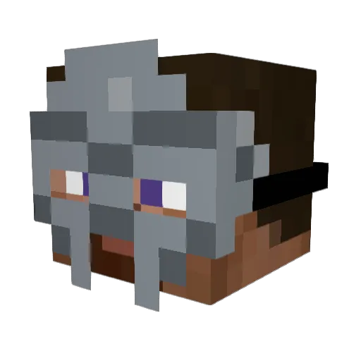 daortega24 Minecraft avatar head, 3D render