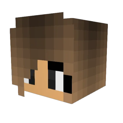 dapordinator Minecraft avatar head, 3D render