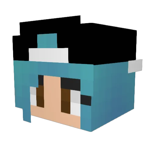 dar00d_sandst0rm Minecraft avatar head, 3D render