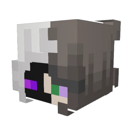 daraSkr Minecraft avatar head, 3D render