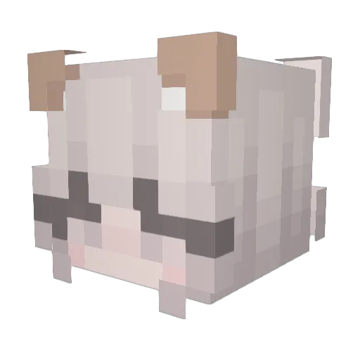 daramgi1 Minecraft avatar head, 3D render