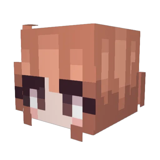 darb_irl Minecraft avatar head, 3D render
