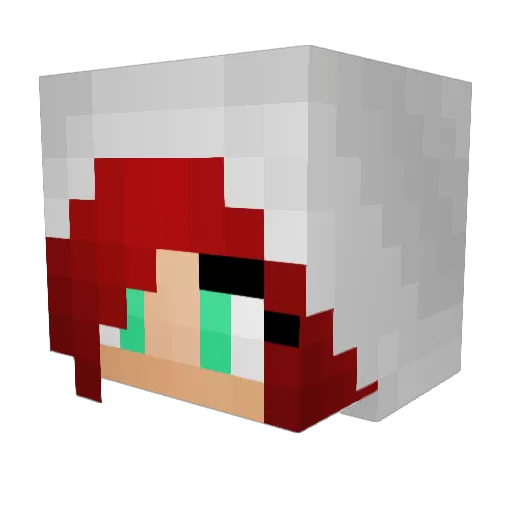 darbydoodle Minecraft avatar head, 3D render