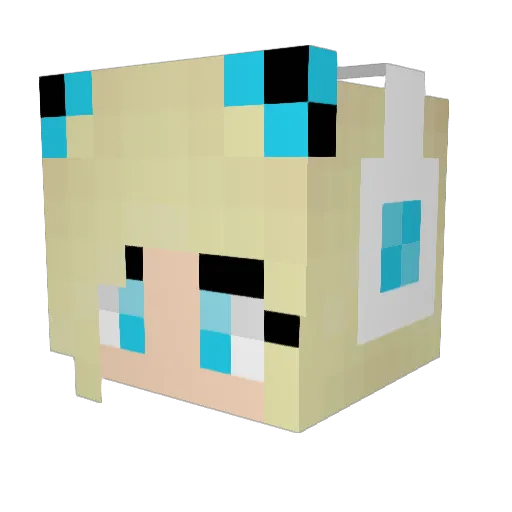 darcyoz Minecraft avatar head, 3D render
