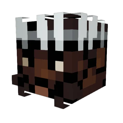 darealwasss Minecraft avatar head, 3D render