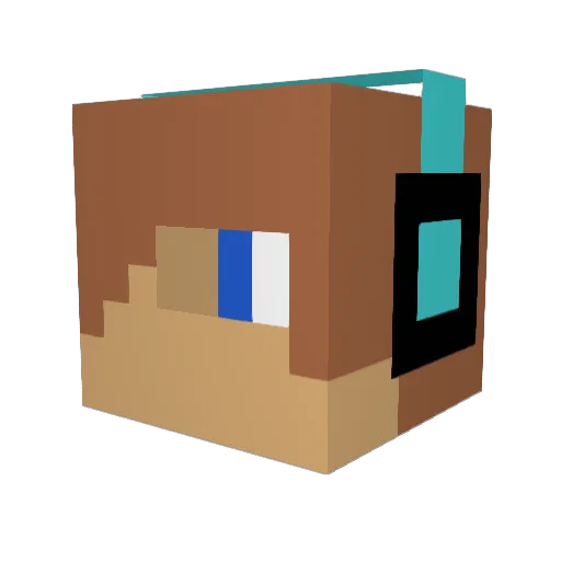 daresupport Minecraft avatar head, 3D render