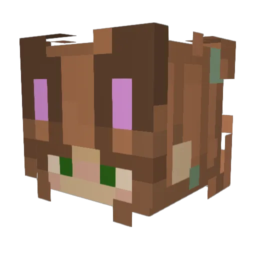 darienshortcake Minecraft avatar head, 3D render
