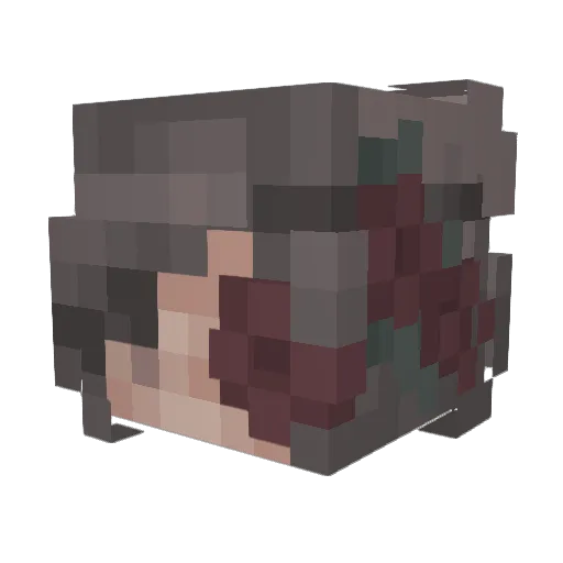 darina_planck Minecraft avatar head, 3D render