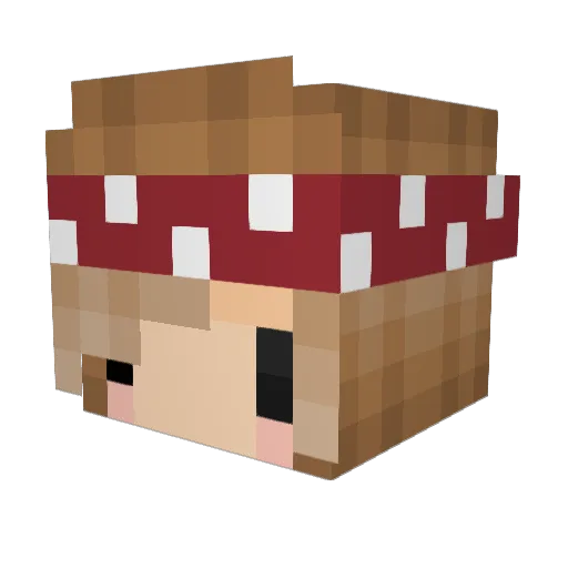 daringred_ Minecraft avatar head, 3D render